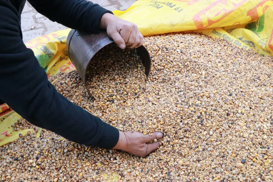 Pekmezle birlikte tüketiliyor. En az 6 saat pişmesi şart, asırlık lezzete talep yağıyor 