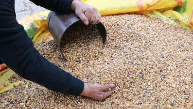 Pekmezle birlikte tüketiliyor. En az 6 saat pişmesi şart, asırlık lezzete talep yağıyor