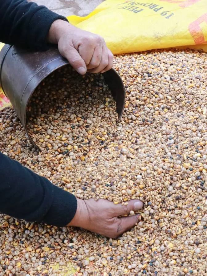 Pekmezle birlikte tüketiliyor. En az 6 saat pişmesi şart