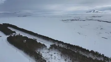 Bozkırın ortasında bir orman yarattılar. 56 yıldır görenleri büyülüyor