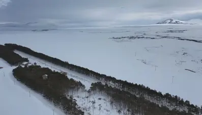 Bozkırın ortasında bir orman yarattılar. 56 yıldır görenleri büyülüyor