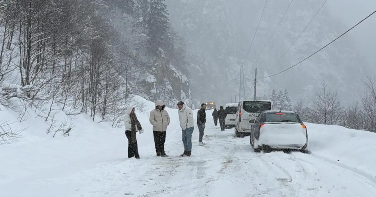 Trabzon'da çığ düştü. Karayolu ulaşıma kapandı