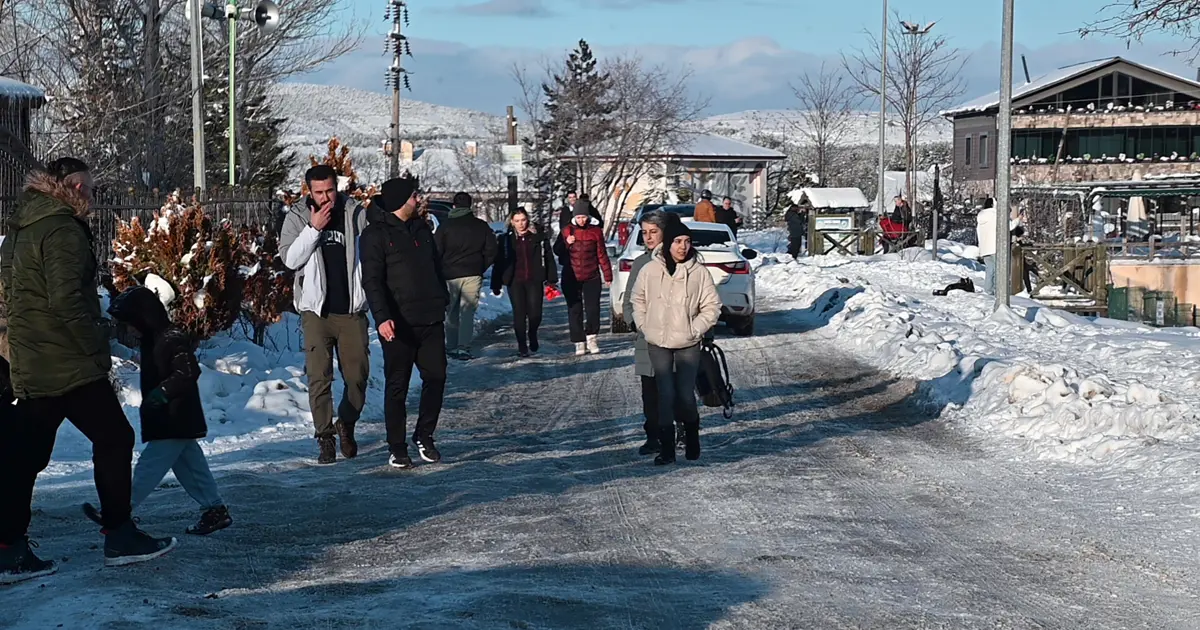 Kar sonrası akın ettiler. İlk kez böylesi oldu