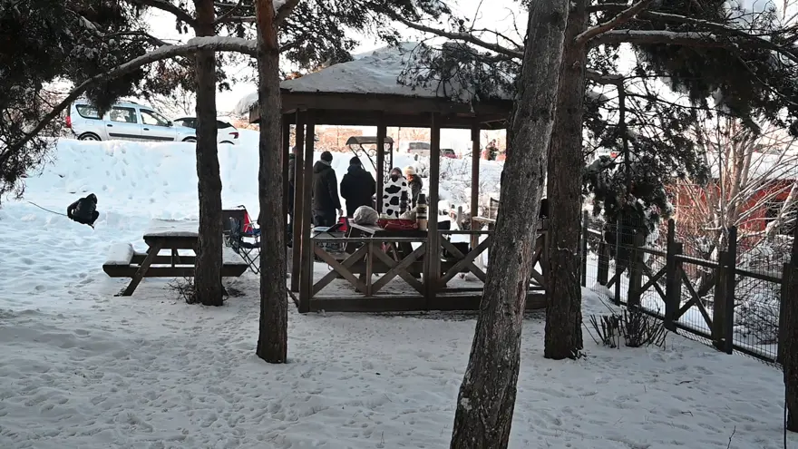Kar sonrası akın ettiler. İlk kez böylesi oldu 2