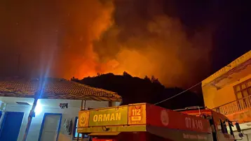 Antalya'da orman yangını. Bazı evler boşaltılıyor 