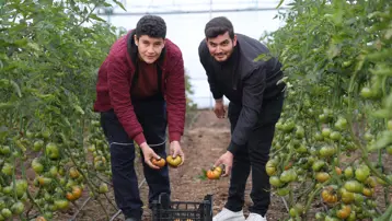 Devlet desteğiyle kendi işlerinin patronu oldular. Sezonda yaklaşık 400 bin lira kazanç