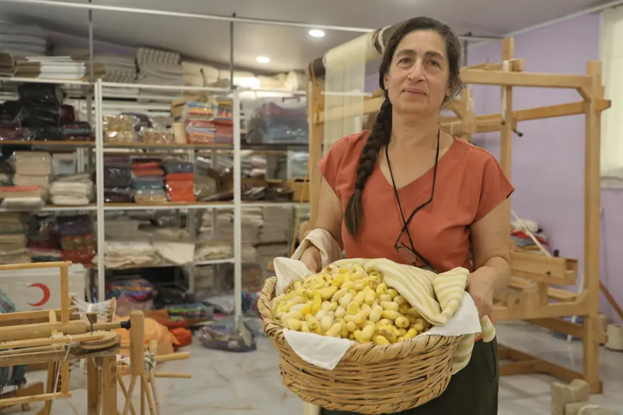 Hatay Sarısı'nı yıllardır yaşatıyor. Böceklere bebeği gibi baktı, tür geleceğini ona borçlu 1