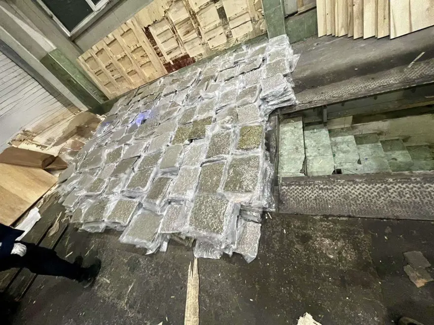 Türkiye sınırında yakalandı. 700 kilo esrarı kontrplakların arasında gizlemişler 