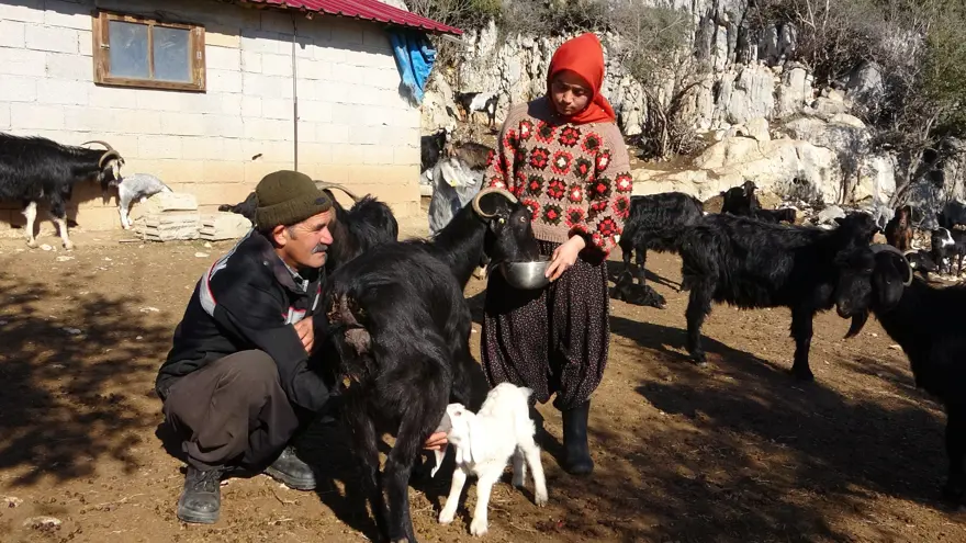 Üniversiteyi bitirdi, köyüne döndü. Rotasını bulamayınca baba mesleğini yaşatmaya başladı 4