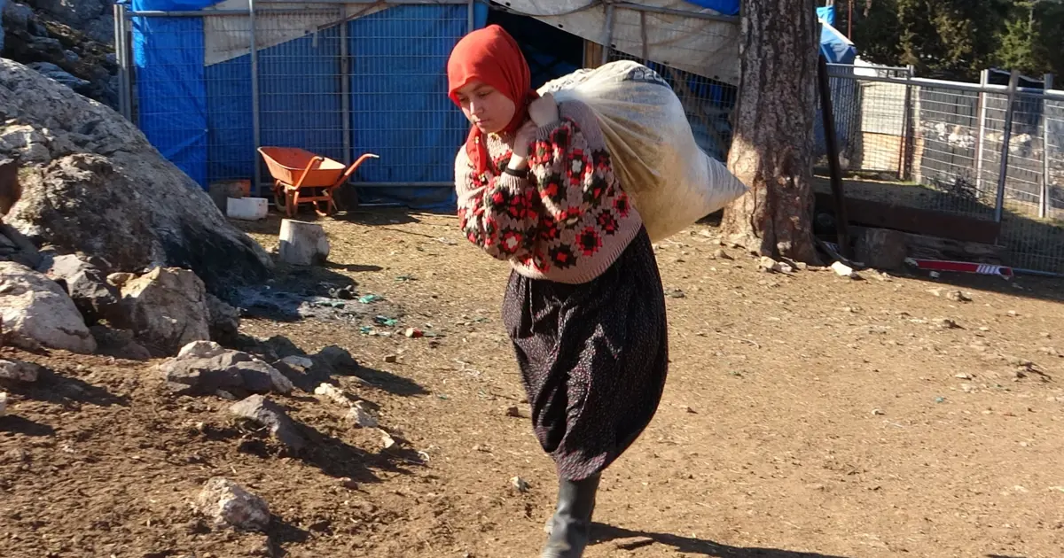 Üniversiteyi bitirdi, köyüne döndü. Rotasını bulamayınca baba mesleğini yaşatmaya başladı
