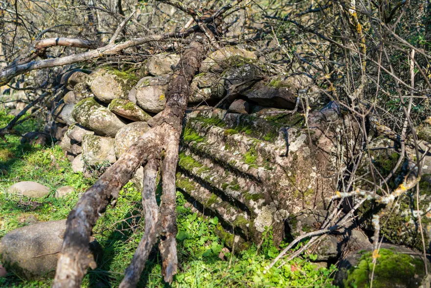 Milattan önce inşa edildi. Manisa'daki gizemli bölgeye ulaşmak çok zor 5