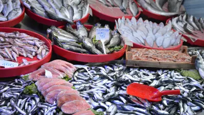 Bu yıl tezgahların yıldızı oldu. Fiyatı 150-250 TL arasında değişiyor