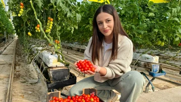 Yaz kış kesintisiz üretim. Ağrı'dan Avrupa'ya satılıyor