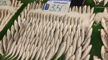 Havalar soğudu, balık tezgahları şenlendi