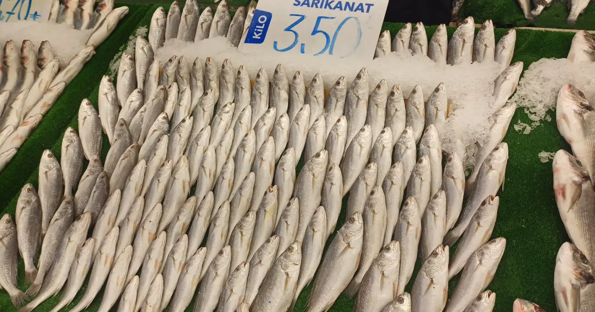 Havalar soğudu, balık tezgahları şenlendi