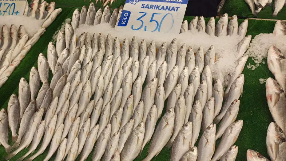 Havalar soğudu, balık tezgahları şenlendi