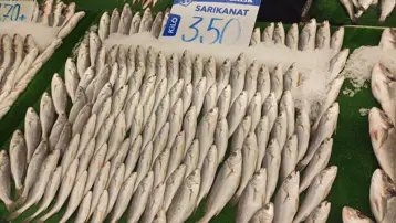 Havalar soğudu, balık tezgahları şenlendi