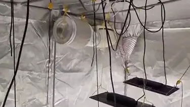 Evini uyuşturucu serasına çevirmiş