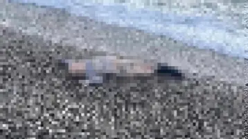 İzmir'de sahile vurmuş bir çocuk cesedi bulundu