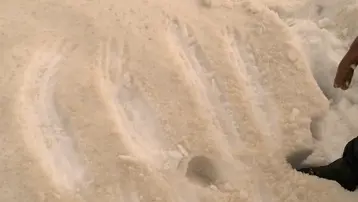 Görenler şoke oldu. Bembeyaz kar bir gecede kahverengiye döndü