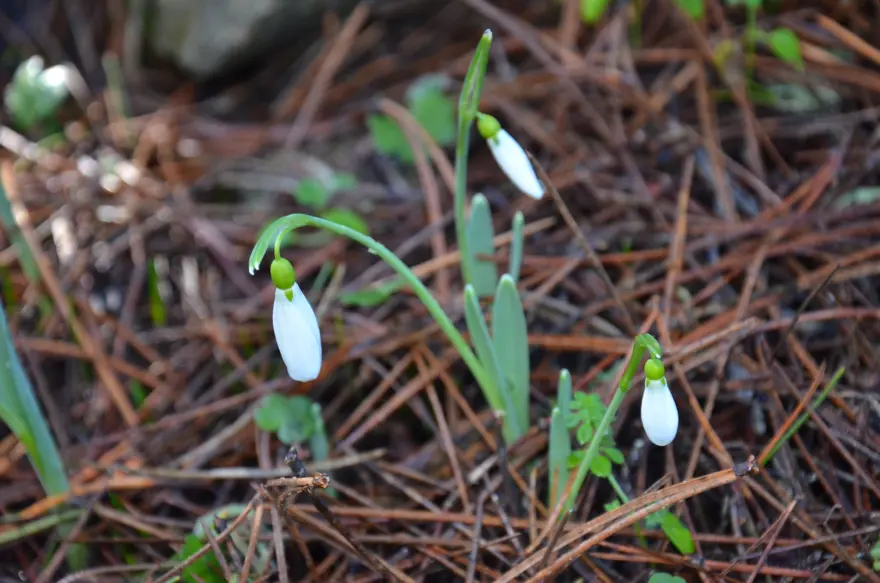 KOPARMANIN CEZASI 5 YILDA ARTTI

 3