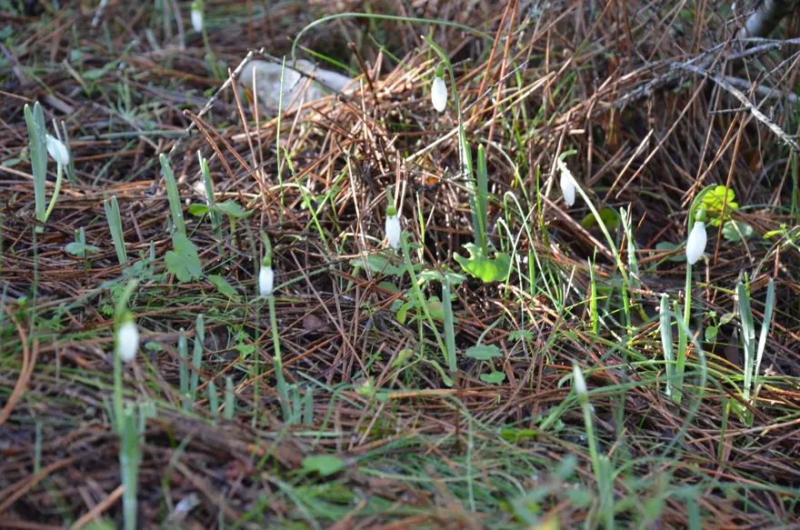 Tutup koparmanın bedeli cep yakıyor. Cezası 5 yılda 7 kat arttı 1