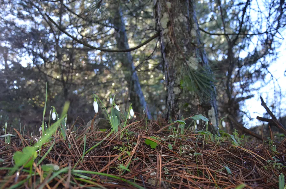 Tutup koparmanın bedeli cep yakıyor. Cezası 5 yılda 7 kat arttı