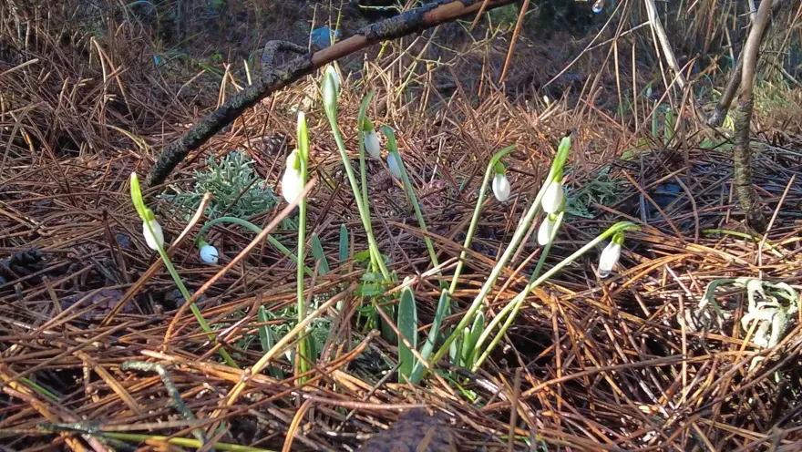 Tutup koparmanın bedeli cep yakıyor. Cezası 5 yılda 7 kat arttı 4