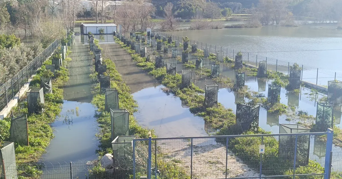 Irmak taştı, otoyol şantiyesi sular altında kaldı