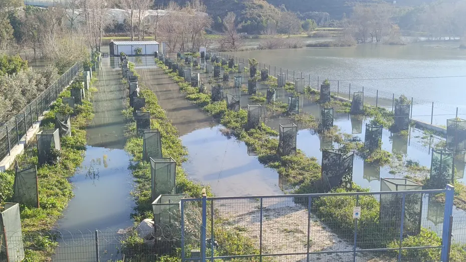 Irmak taştı, otoyol şantiyesi sular altında kaldı