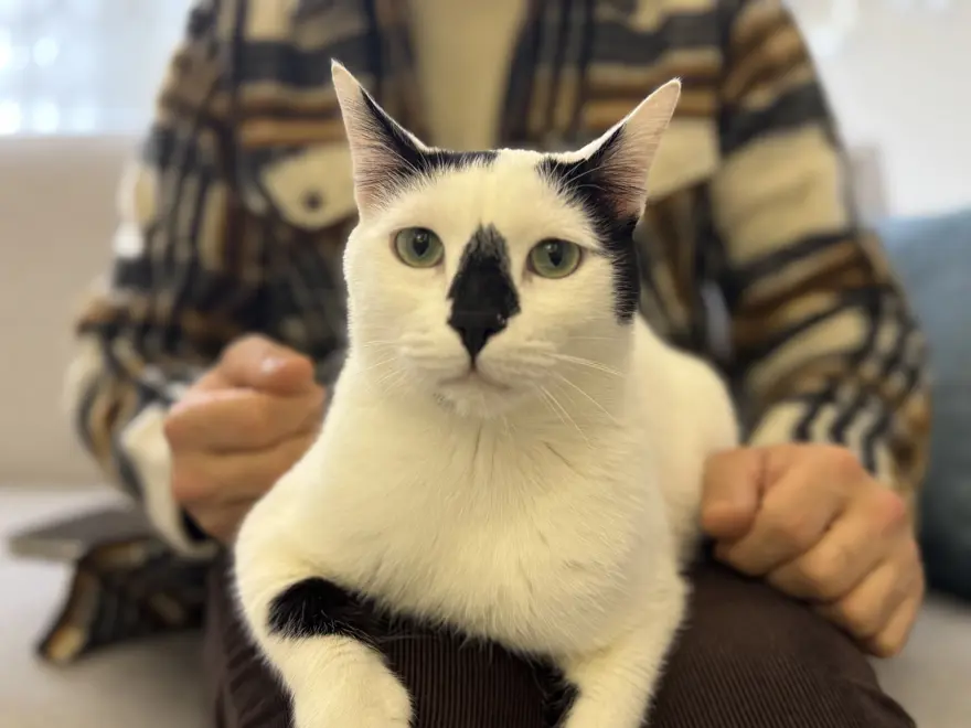 Asrın felaketinde enkazdan çıkarmıştı. Sahiplendiği kediyi 3 yıldır yanından ayırmıyor 2