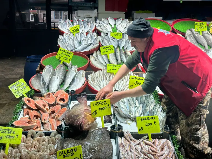 Bu balık çeyrek altınla yarışıyor. 7,5 kilo ağırlığında, değeri 10 bin 500 lira Bu balık çeyrek altınla yarışıyor. 7,5 kilo ağırlığında, değeri 10 bin 500 lira