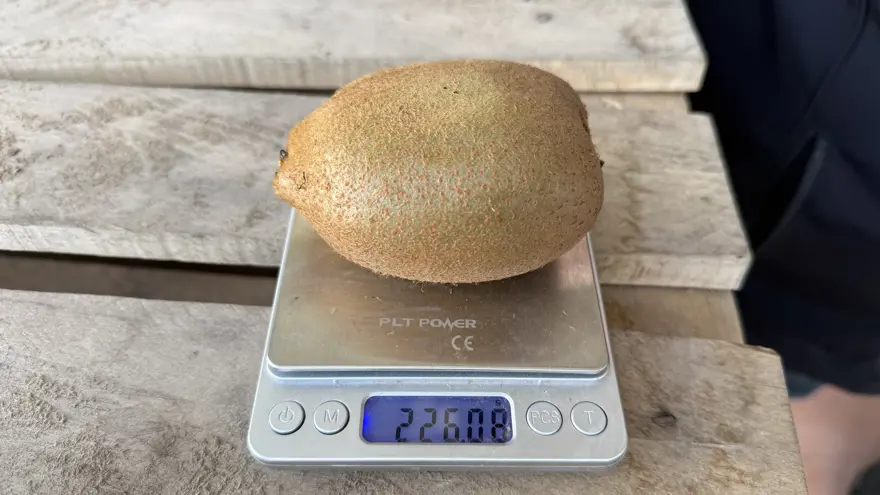 "220 GRAM AĞIRLIĞINDA" 2