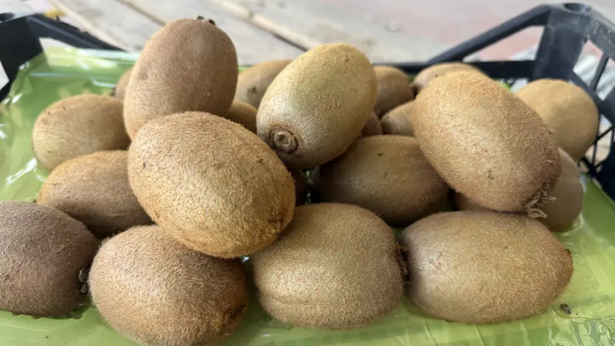 Tarımda sessiz devrim. 4 tanesi 1 kilogram ediyor, yoğun talep var 