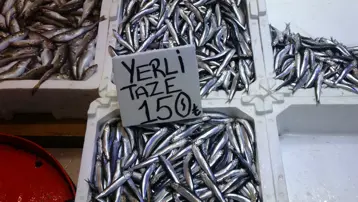 Yerli hamsiler tezgahlarda yerini aldı, vatandaşın talebi yoğun