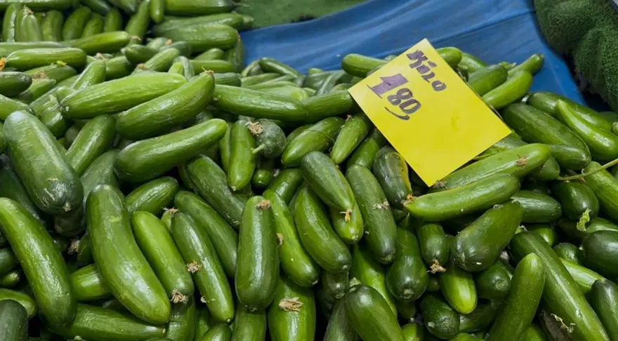 VATANDAŞ TEPKİLİ 1 VATANDAŞ TEPKİLİ 1