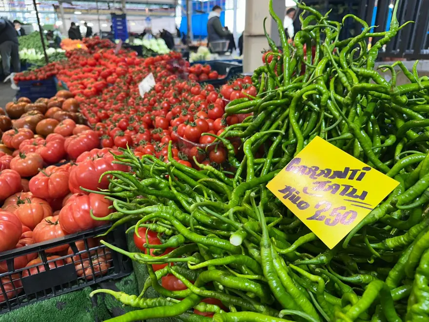 SEL SERALARI VURDU SEL SERALARI VURDU