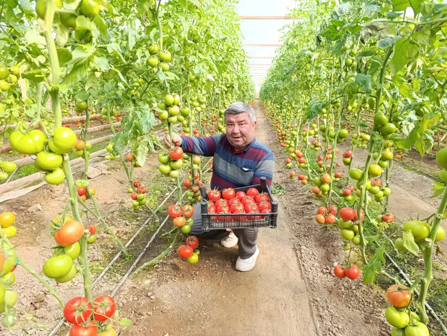 "TOPRAKTA YETİŞTİRİYORUM, LEZZETİ BURADAN GELİYOR"

 1