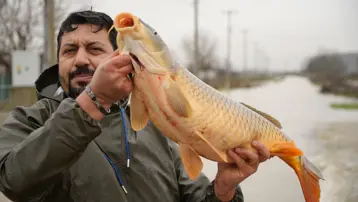 Meriç Nehri taştı, tarladan ekin değil balık topladı