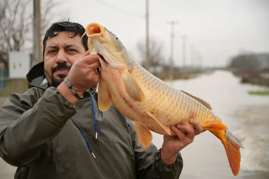 Meriç Nehri taştı, tarladan ekin değil balık topladı