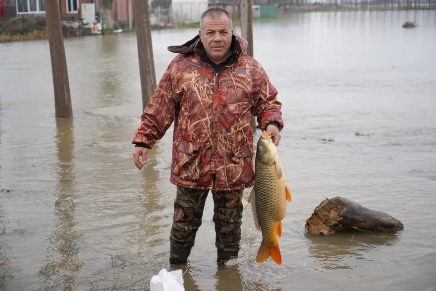 Meriç Nehri taştı, tarladan ekin değil balık topladı 