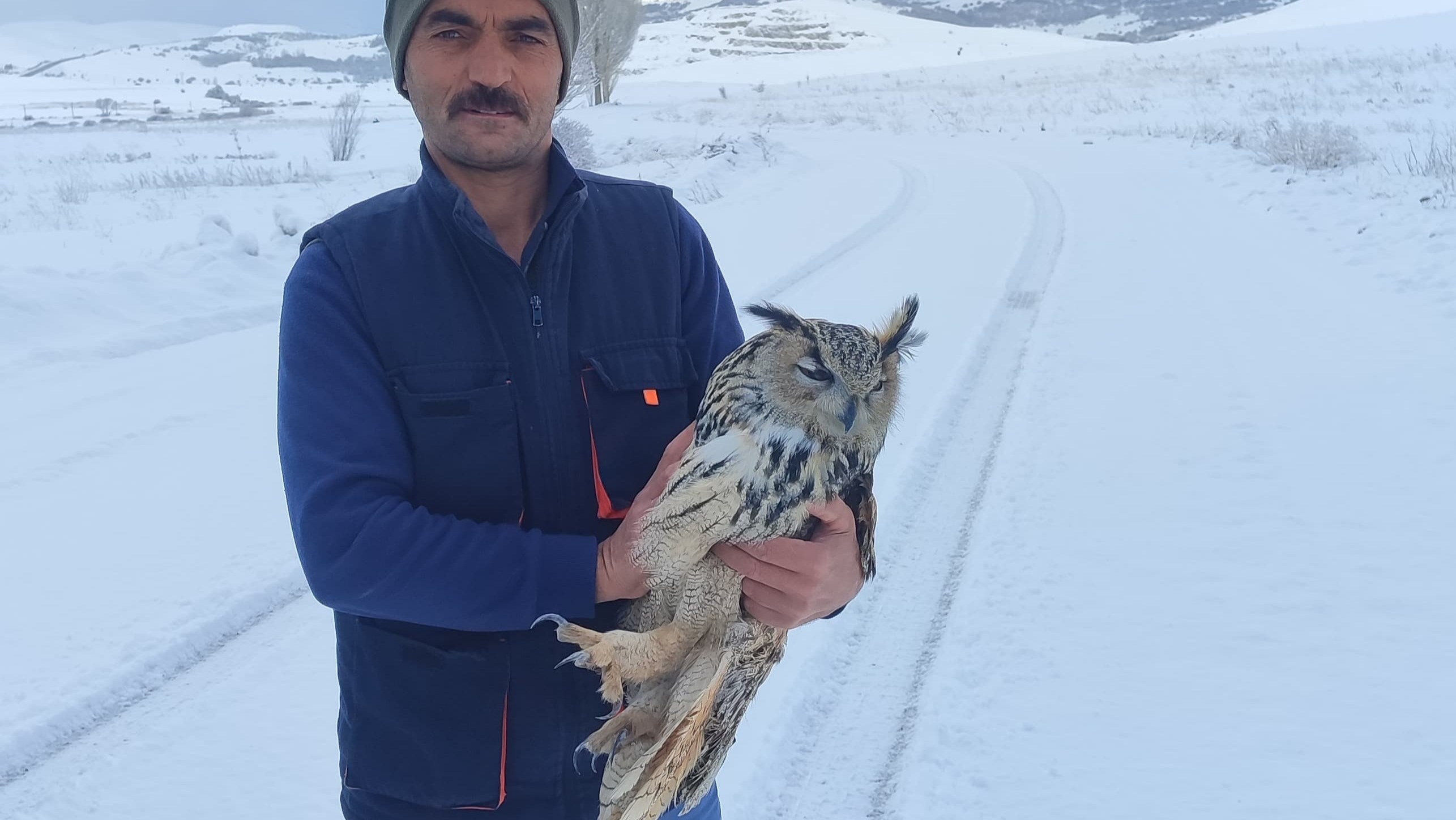 Kuduz olduğunu anlayan Puhu kuşu intihar etti