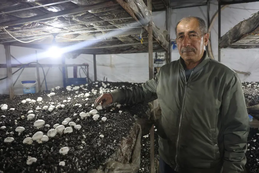 Varını yoğunu satıp bu işi kurdu. Şimdi başka şehirlere satış yapıyor, sandığı 110 lira Varını yoğunu satıp bu işi kurdu. Şimdi başka şehirlere satış yapıyor, sandığı 110 lira