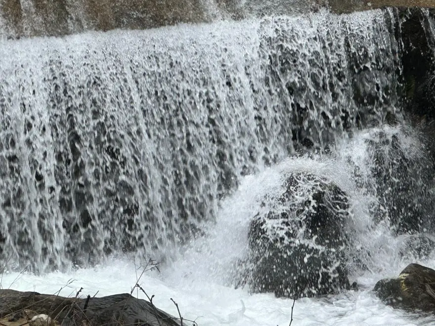 Yazın kurumak üzereydi. Kar sularıyla yeniden coştu 2