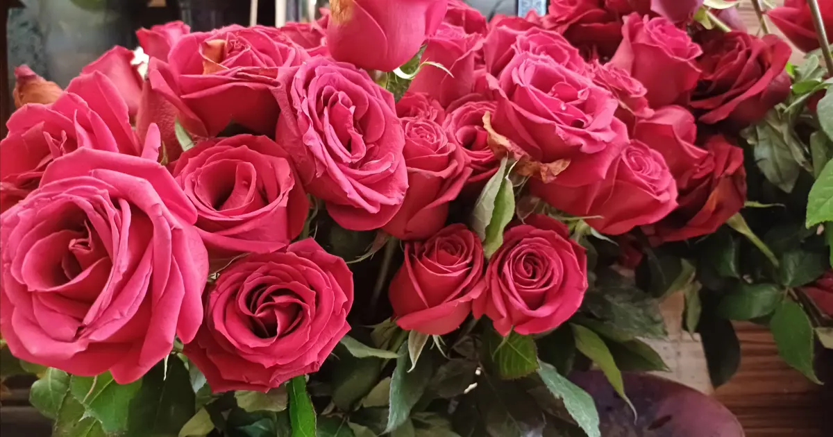 Çiçekçilerin yoğun mesaisi. En çok kırmızı gül tercih ediliyor