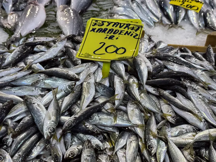 Balıkçıların tekneleri limanda. Tezgahlarda balıklar az, fiyatlar da artışta 