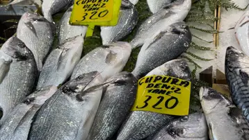 Balıkçıların tekneleri limanda. Tezgahlarda balıklar az, fiyatlar da artışta