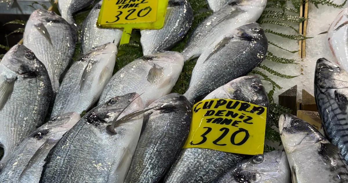 Balıkçıların tekneleri limanda. Tezgahlarda balıklar az, fiyatlar da artışta