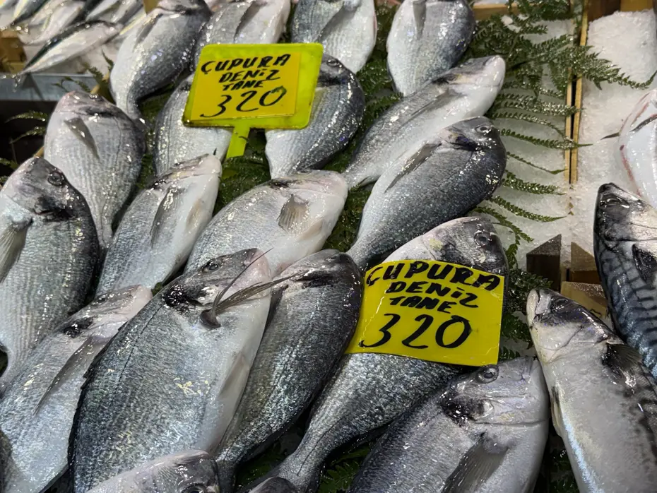 Balıkçıların tekneleri limanda. Tezgahlarda balıklar az, fiyatlar da artışta