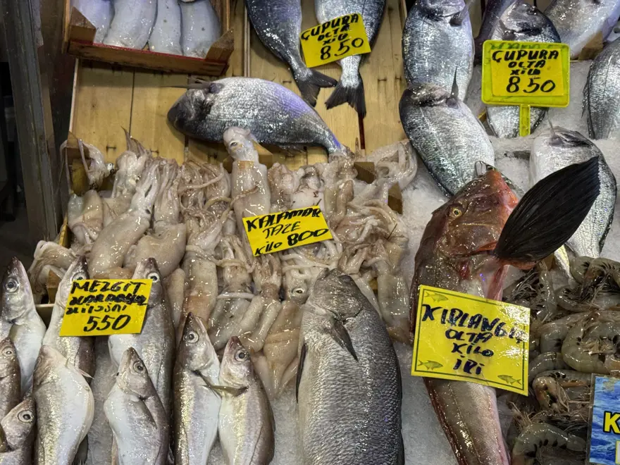 "HALK GELSİN BALIK YESİN" 2